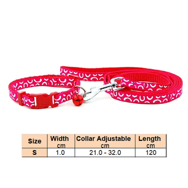 Pet Collar Leash
